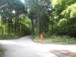 森の中の道、消火栓のある四つ筋から1区画入ったところ。