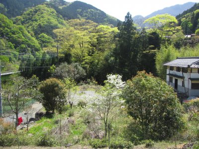  南アルプス・富士川エリア