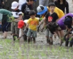 自然体験学習プログラム　田植え