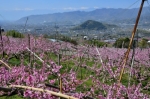 塩山のシンボル塩の山と塩山桃源郷